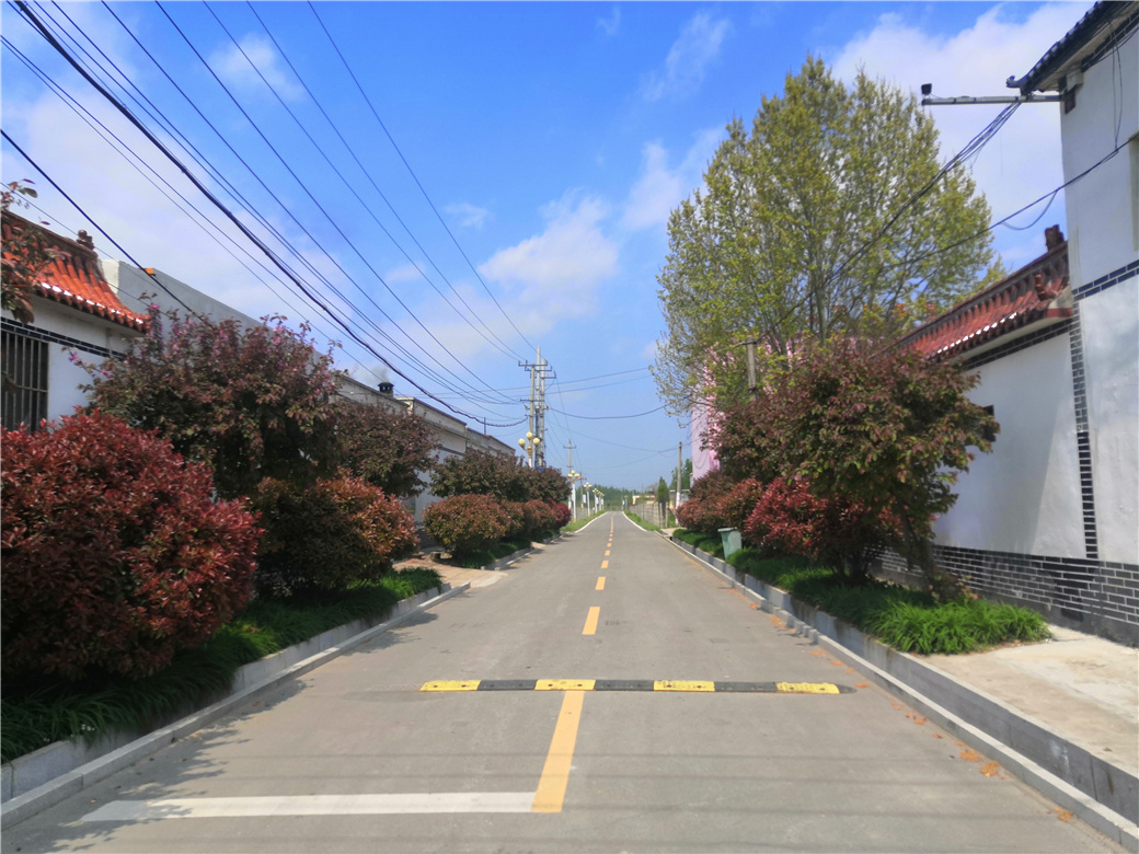 宁阳县八仙桥街道青川围子村从孬村到全国文明村的蝶变