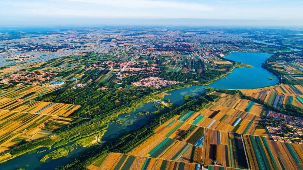 乡村振兴齐鲁样板|山东潍坊坊子区黄旗堡街道:百姓富 生态美 产业兴