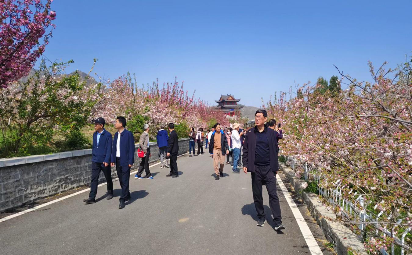 参观滨州市樱花山文化旅游区